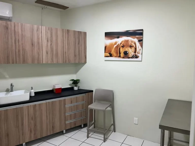 Clínica Oncológica Veterinaria Guadalajara