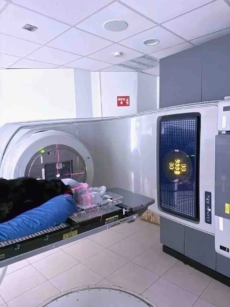 Radioterapia-veterinaria-en-guadalajara-2